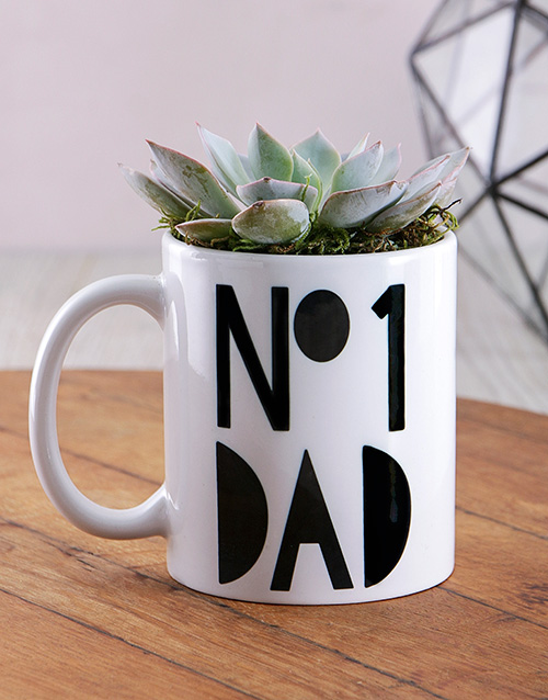 fathers-day No1 Dad Succulent Mug