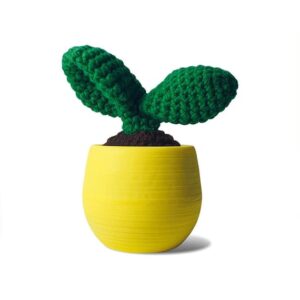 Crochet Cactus Leaf