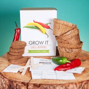 Grow it - Chilli Plant