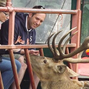 A Day on The Farm with a Deer Safari for Two Adults at Snettisham Park