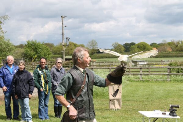 Bird of Prey Falconry Experience for Two