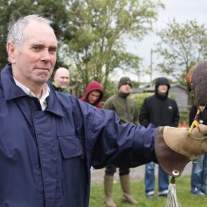 Bird of Prey Falconry Experience for Two