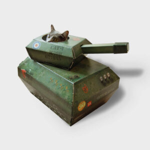 Cardboard Cat Tank