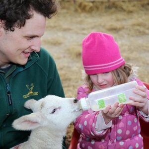 Family Day on The Farm with a Deer Safari at Snettisham Park