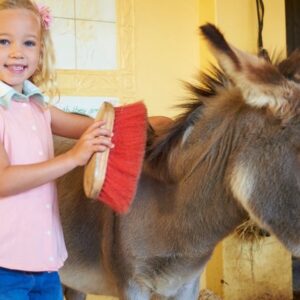 Farm Close Encounter Experience for Two at Drusillas Park Zoo