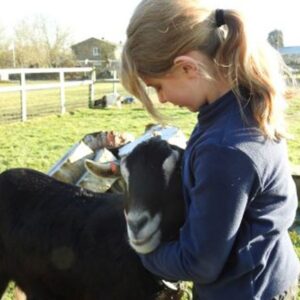 Farm Keepers Experience at Animal Rangers