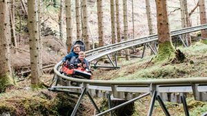 Fforest Coaster Shared Ride at Zip World, Wales