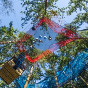Fforest Coaster and Treetop Nets for One Adult and One Child at Zip World
