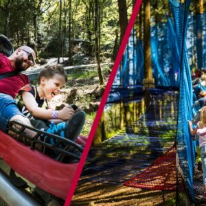 Fforest Coaster and Treetop Nets for One Adult and One Child at Zip World