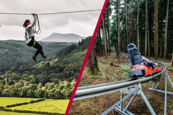Fforest Coaster and Zip Safari 2 for One at Zip World