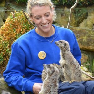 Meerkat Close Encounter Experience for Two at Drusillas Park Zoo