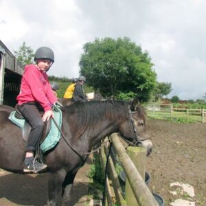 One Hour Horse Riding Session for Two at Caffyns Farm
