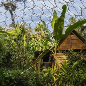 One Year Individual Family Membership to the Eden Project