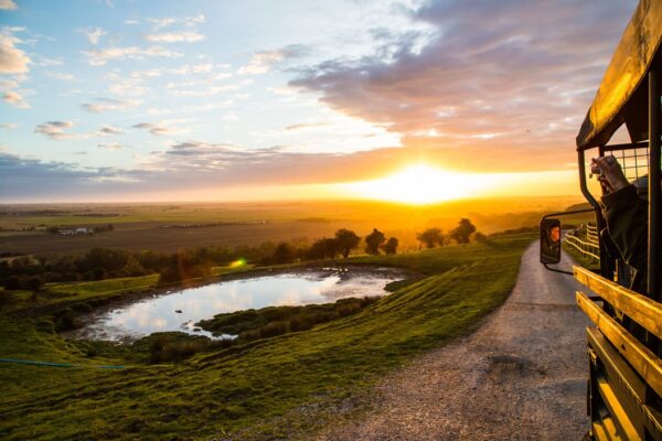 Port Lympne Reserve Entry Tickets and Truck Safari for Two Adults with Digital Animal Adoption Pack