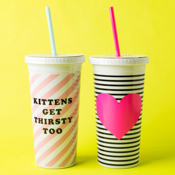 Sip Sip Double Walled Tumbler with Straw