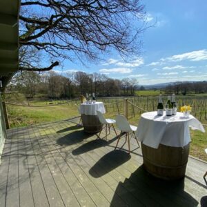Tour and Wine Tasting for Two at Trotton Estate Vineyards
