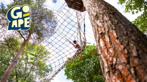 Tree Top Challenge at Go Ape for Two People