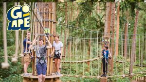 Treetop Adventure at Go Ape for One