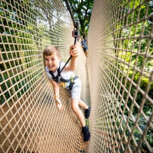 Treetop Adventure for One at Go Ape