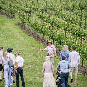 Vineyard Tour and a Wine Tasting for Two at Ashling Park Estate