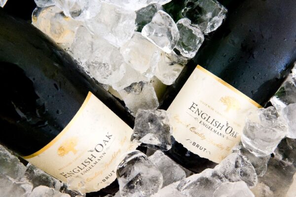 Wine Tasting Tour for Two at English Oak Vineyard