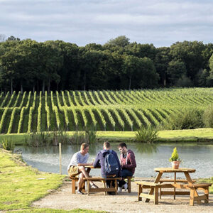 Wine or Beer Tasting for Two with Vineyard and Brewery Tours