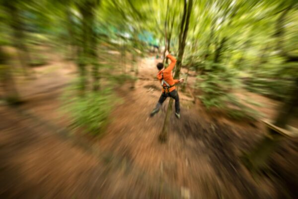Zip Trek for One at Treetop Trek