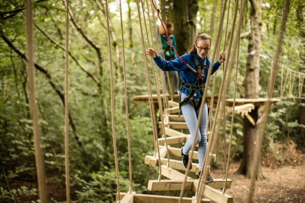 Zip Trek for One at Treetop Trek