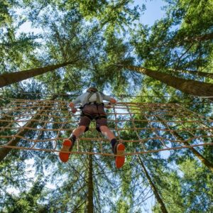 Zip World Tree Hoppers for One