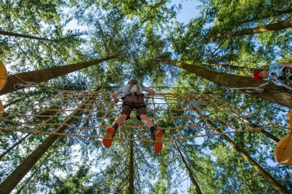 Zip World Tree Hoppers for One