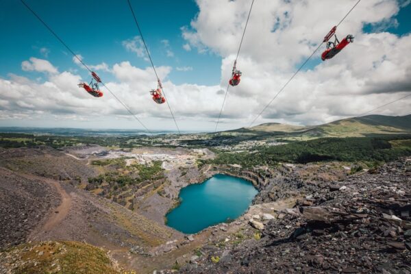 Zip World Velocity for Two - Week Round