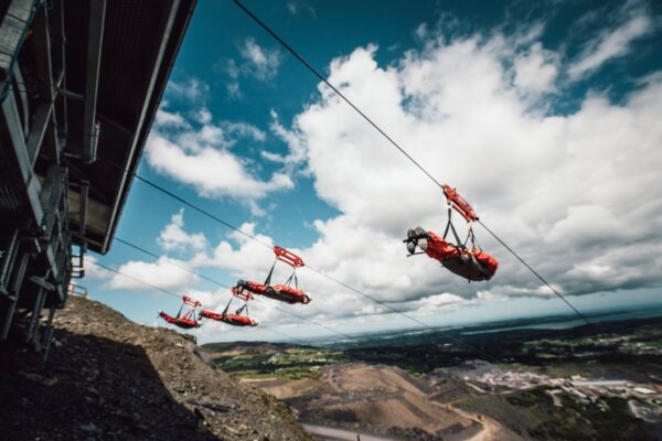 Zip World Velocity for Two - Week Round
