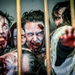 Zombie Battle Training Experience in London